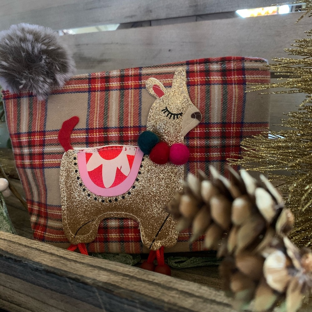 POUCH